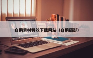 揭阳白鹅素材特效下载网站（白鹅摄影）